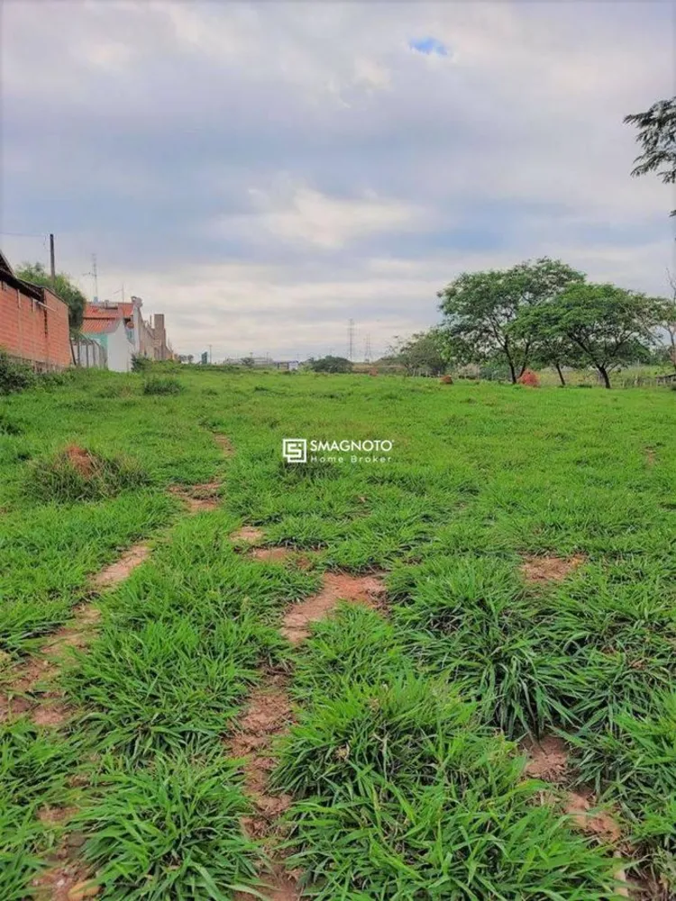 Terreno, 13 hectares - Foto 7