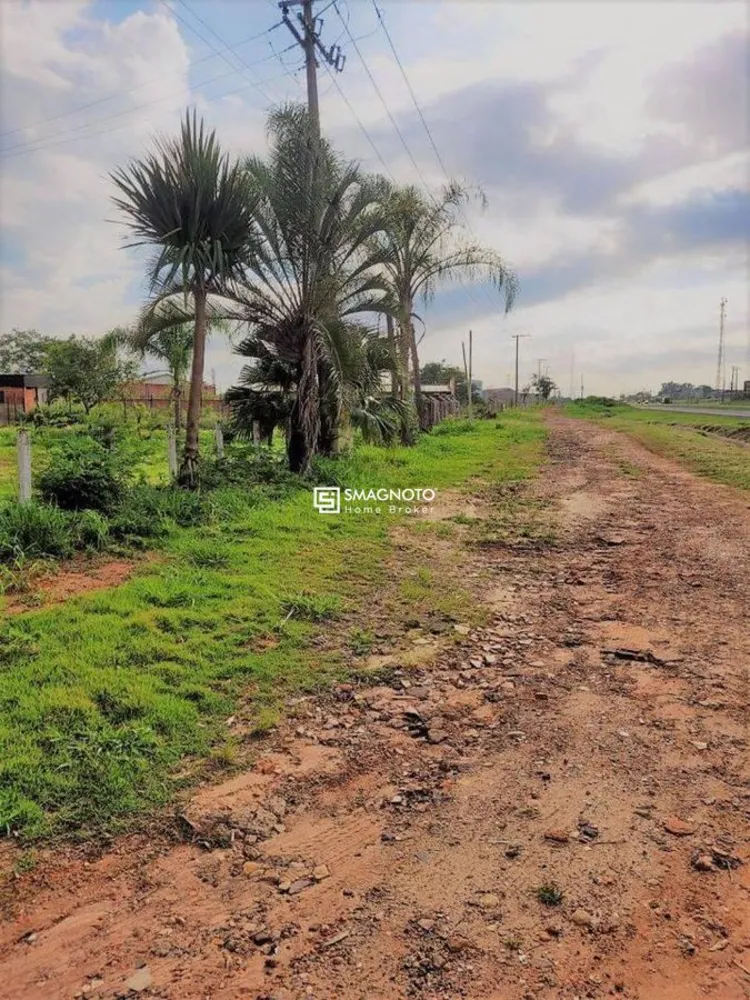 Terreno, 13 hectares - Foto 6