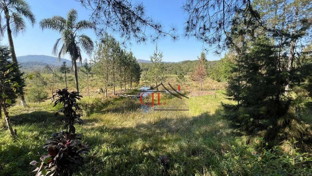 Chácara, 3 quartos, 2 hectares - Foto 13