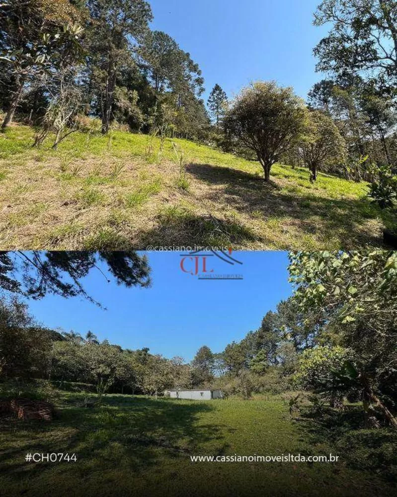 Chácara, 3 quartos, 1 hectares - Foto 4