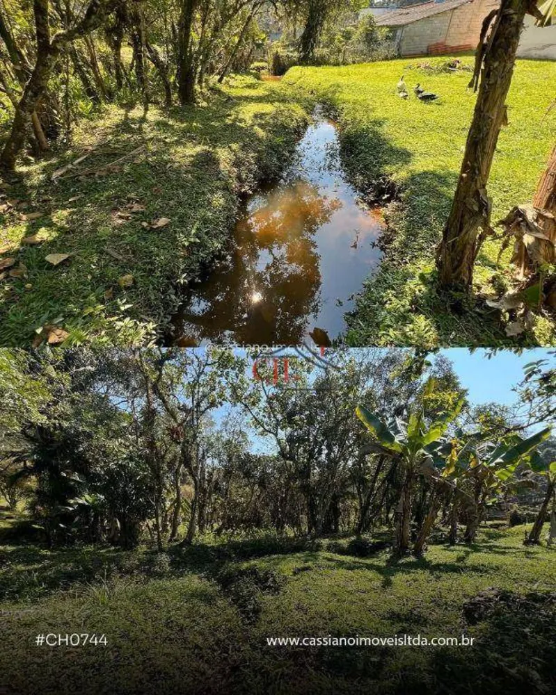 Chácara, 3 quartos, 1 hectares - Foto 6