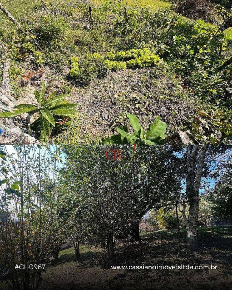 Chácara à venda com 2 quartos, 172m² - Foto 4