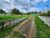 Chácara, 2000 m² - Foto 2