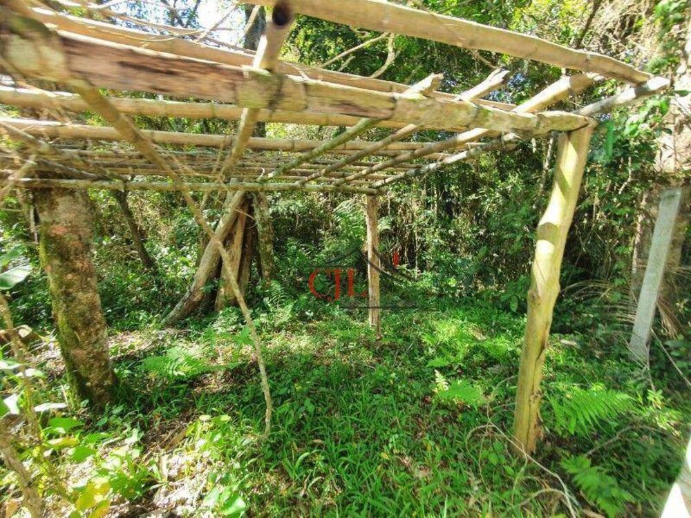 Chácara, 2 quartos, 10000 m² - Foto 10