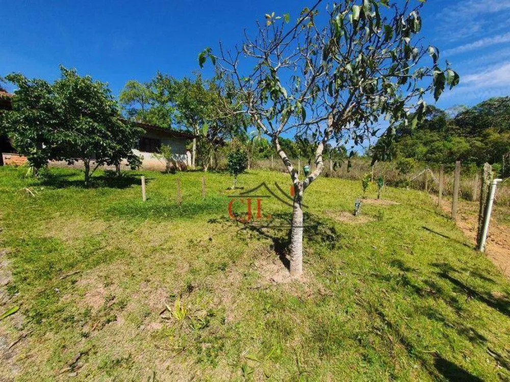 Chácara, 2 quartos, 10000 m² - Foto 15