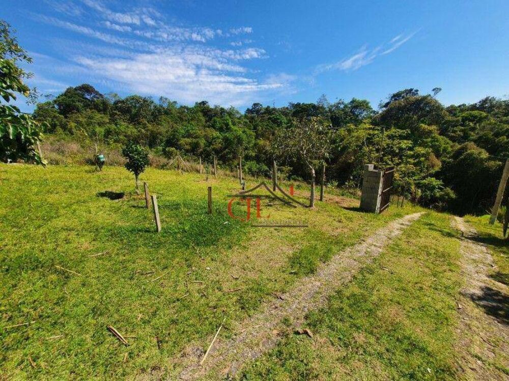 Chácara, 2 quartos, 10000 m² - Foto 8