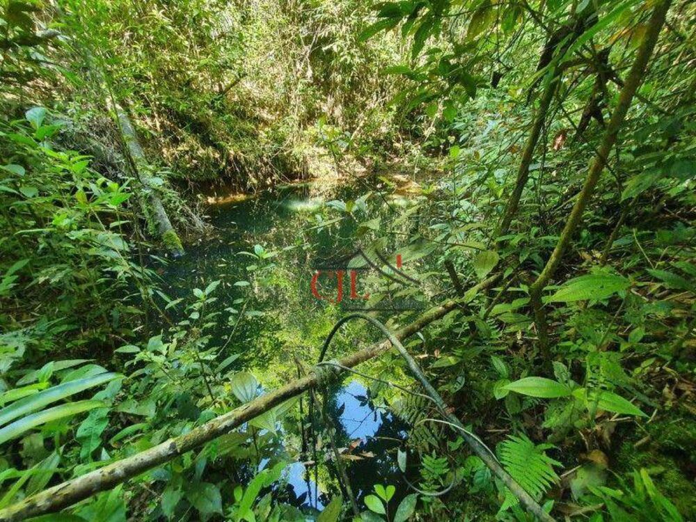 Chácara, 2 quartos, 10000 m² - Foto 11