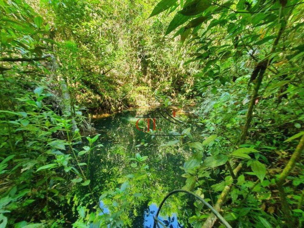 Chácara, 2 quartos, 10000 m² - Foto 12