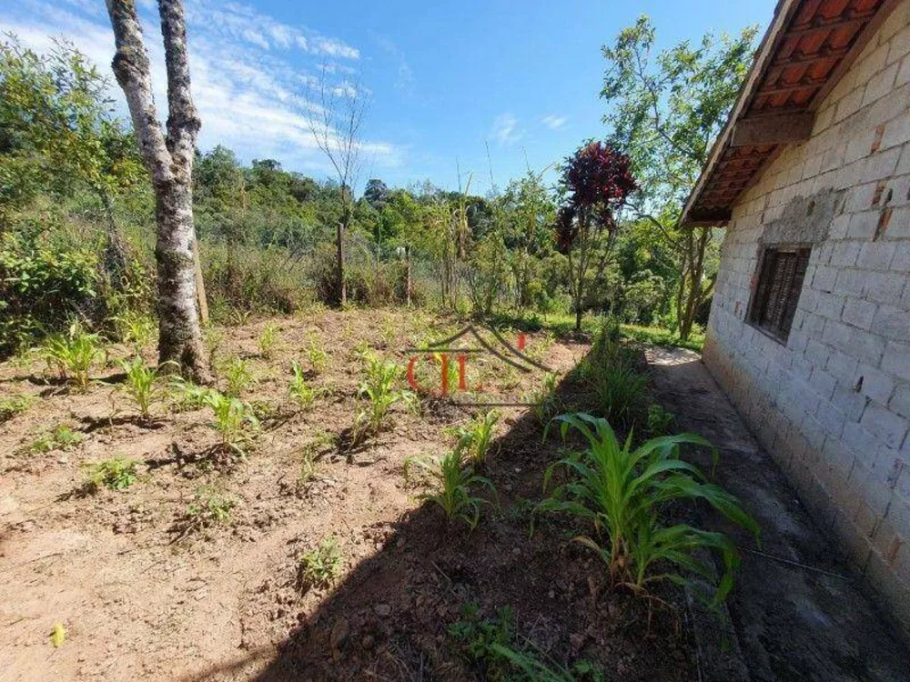 Chácara, 2 quartos, 10000 m² - Foto 16