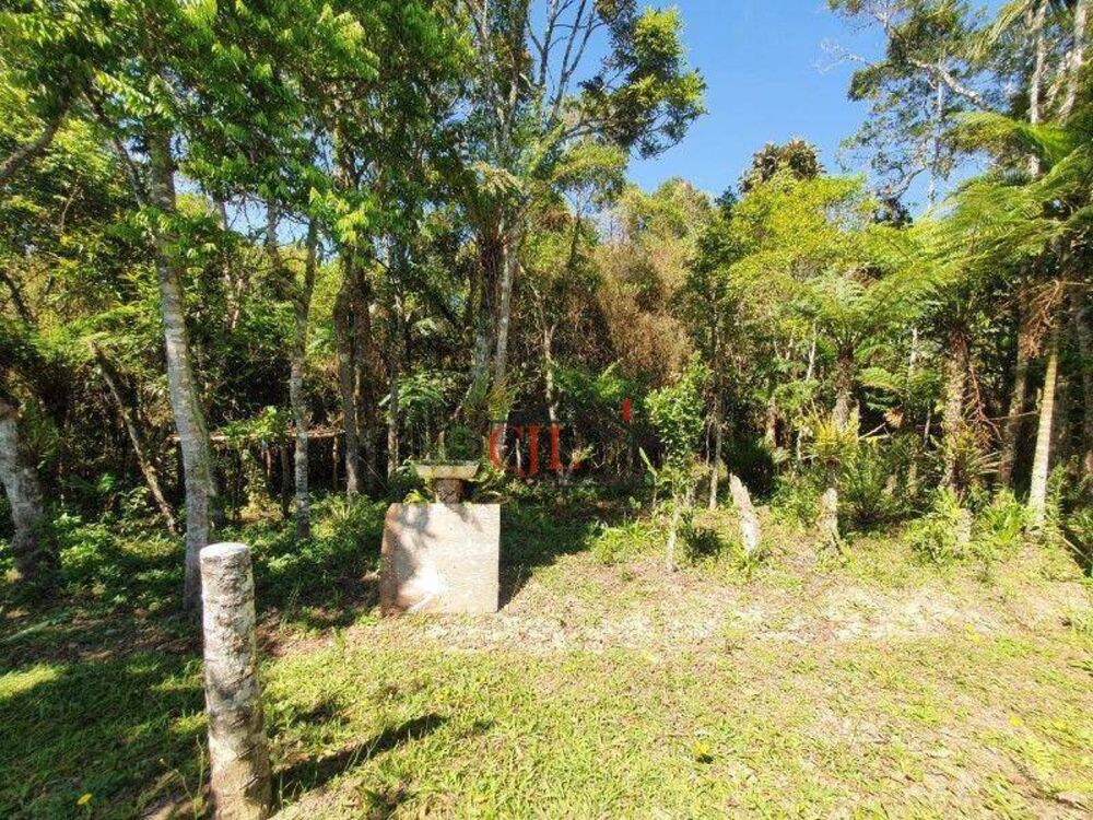 Chácara, 2 quartos, 10000 m² - Foto 9