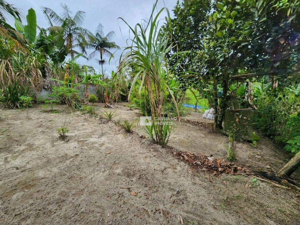 Chácara, 4 quartos, 2500 m² - Foto 14