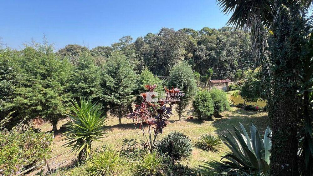 Chácara, 3 quartos, 10000 m² - Foto 7