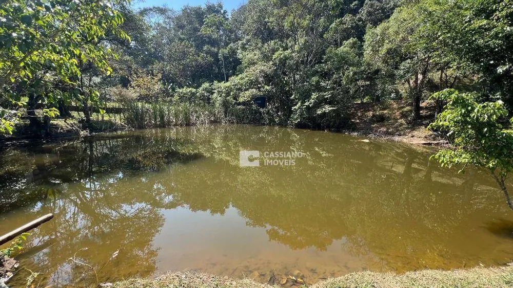 Chácara, 3 quartos, 10000 m² - Foto 6