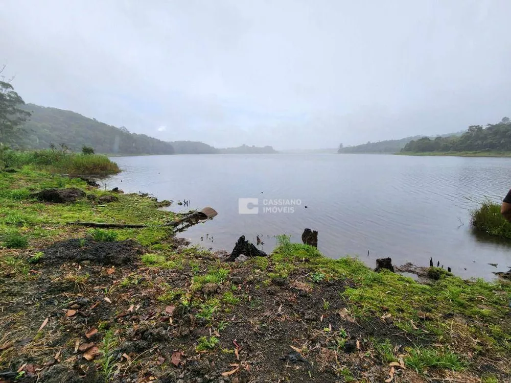 Chácara, 4 quartos, 6000 m² - Foto 8