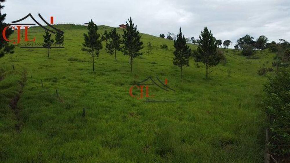 Terreno, 2 hectares - Foto 2