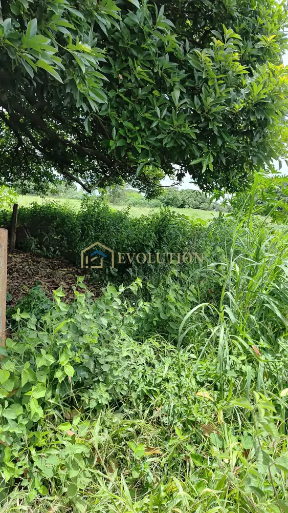 Terreno, 8743 m² - Foto 14