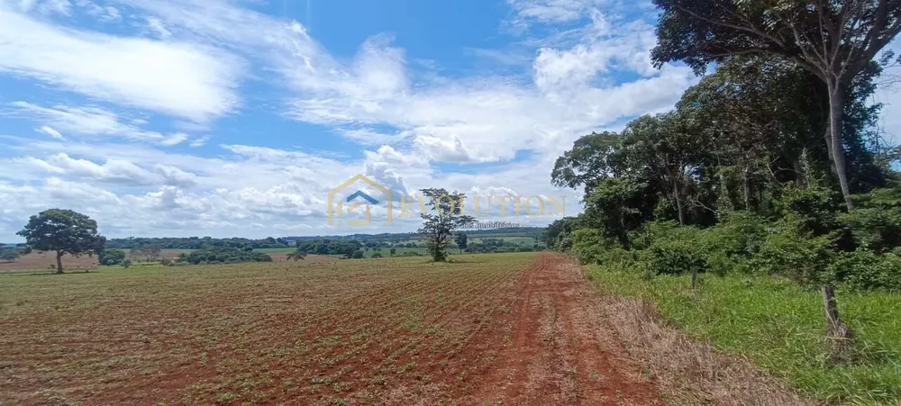 Fazenda, 73 hectares - Foto 8