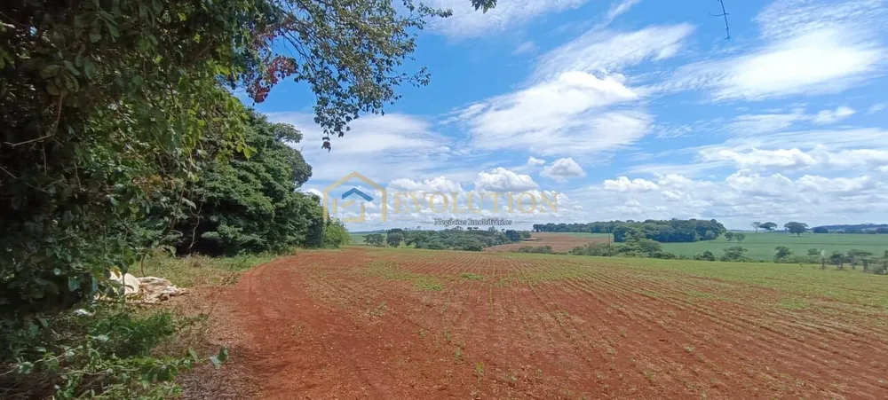 Fazenda, 73 hectares - Foto 6