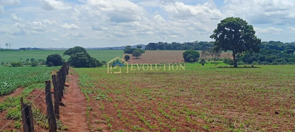 Fazenda, 73 hectares - Foto 5