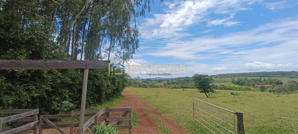 Fazenda, 73 hectares - Foto 10