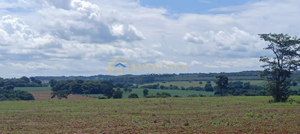 Fazenda, 73 hectares - Foto 3