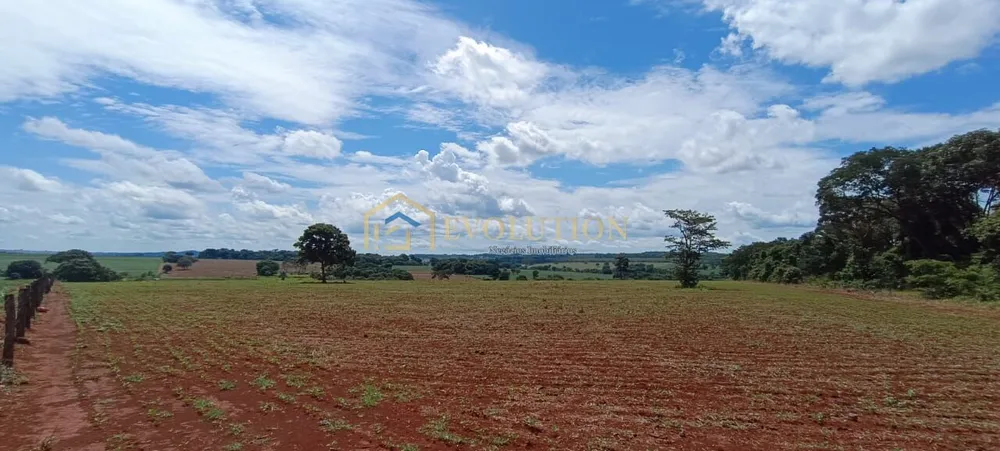 Fazenda, 73 hectares - Foto 4