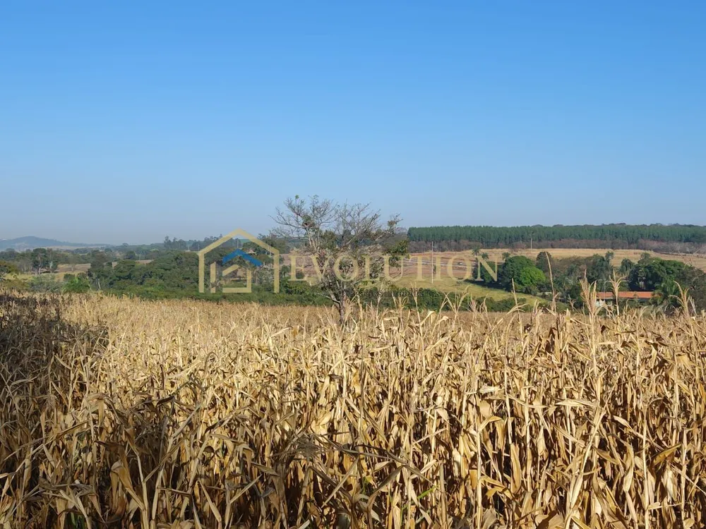 Fazenda, 73 hectares - Foto 12