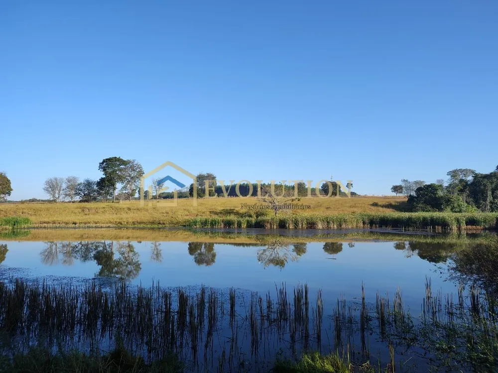 Fazenda, 73 hectares - Foto 2