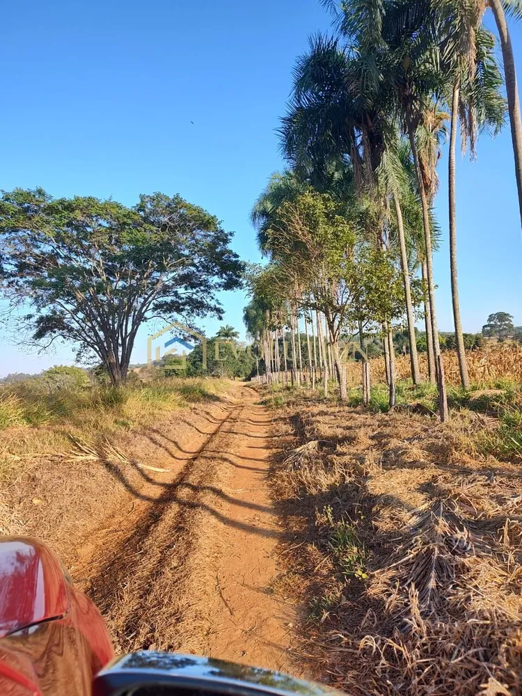 Fazenda, 73 hectares - Foto 11
