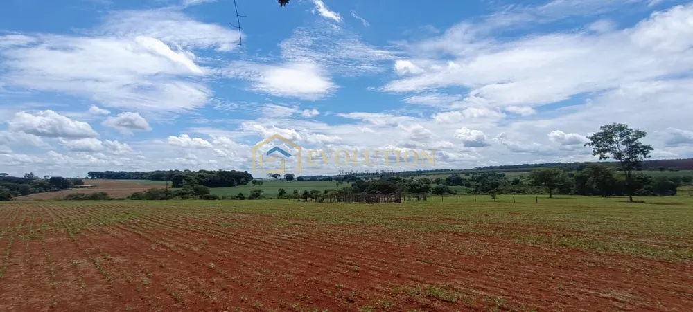 Fazenda, 73 hectares - Foto 9
