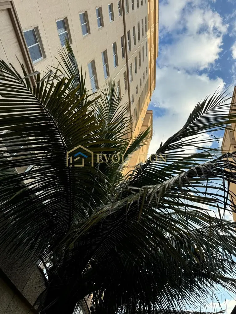 Apartamento, 3 quartos, 76 m² - Foto 16