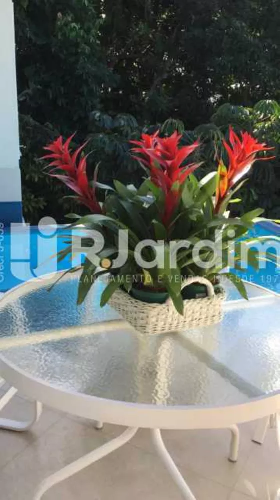 Casa, 4 quartos, 640 m² - Foto 10