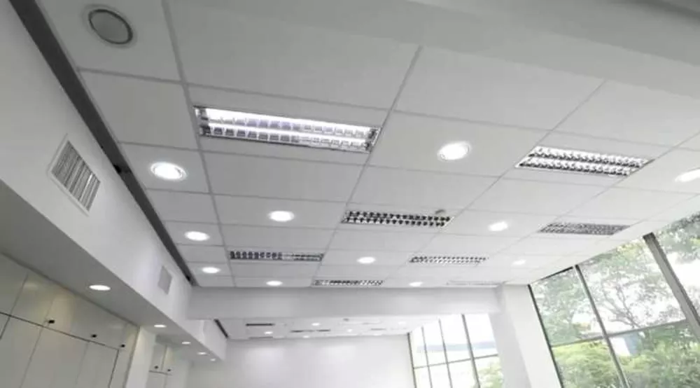 Prédio Inteiro, 5000 m² - Foto 13