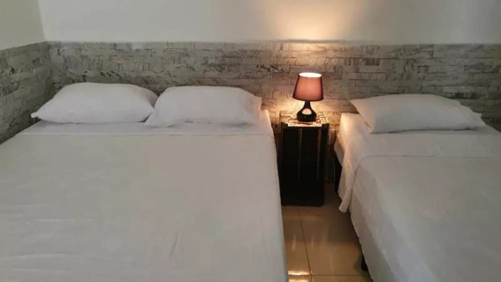 Casa, 4 quartos, 460 m² - Foto 10