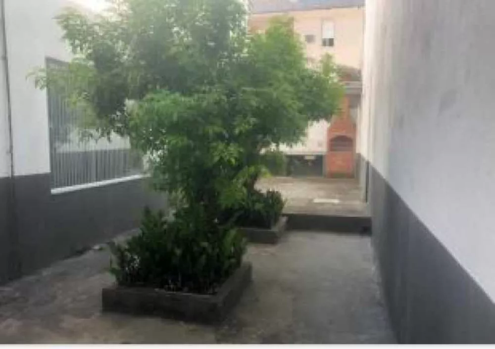 Loja-Salão, 377 m² - Foto 10