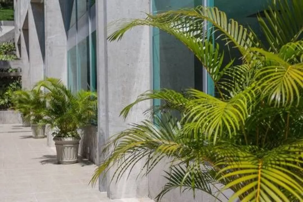 Prédio Inteiro, 6724 m² - Foto 17