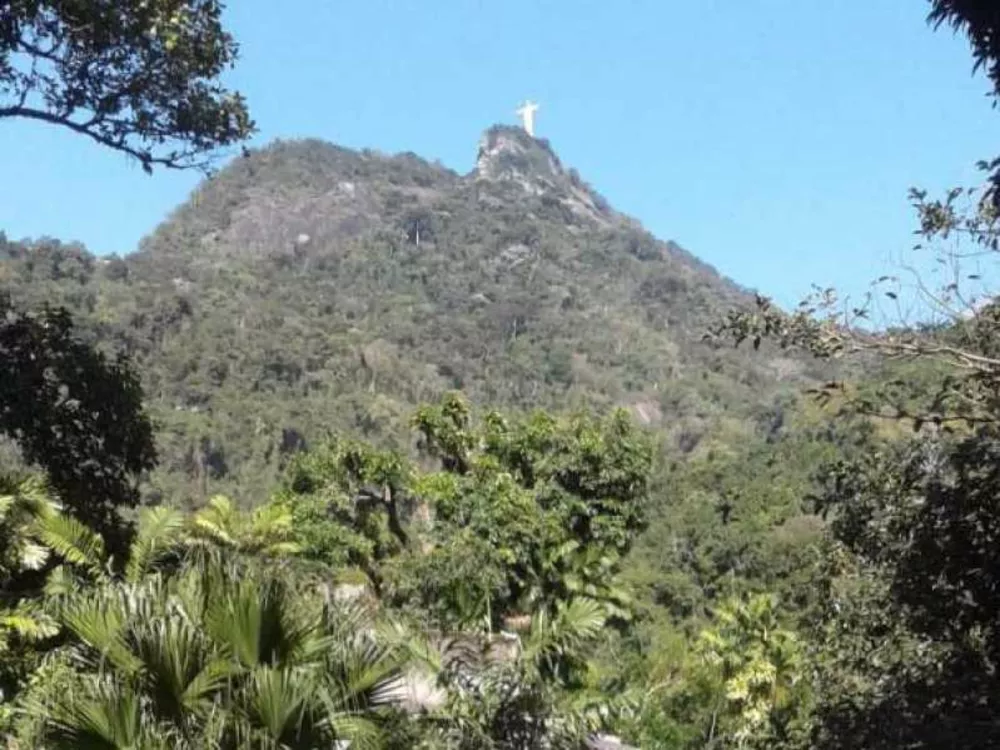 Terreno, 4500 m² - Foto 1