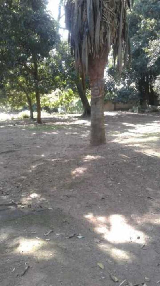 Terreno, 4500 m² - Foto 15