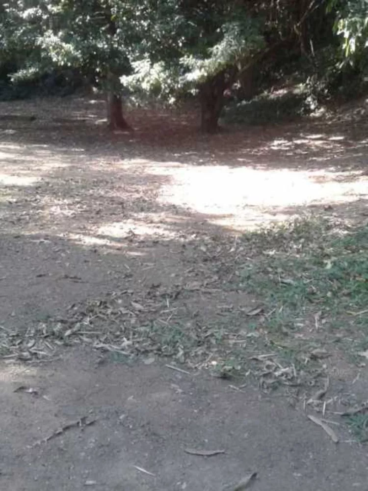 Terreno, 4500 m² - Foto 9