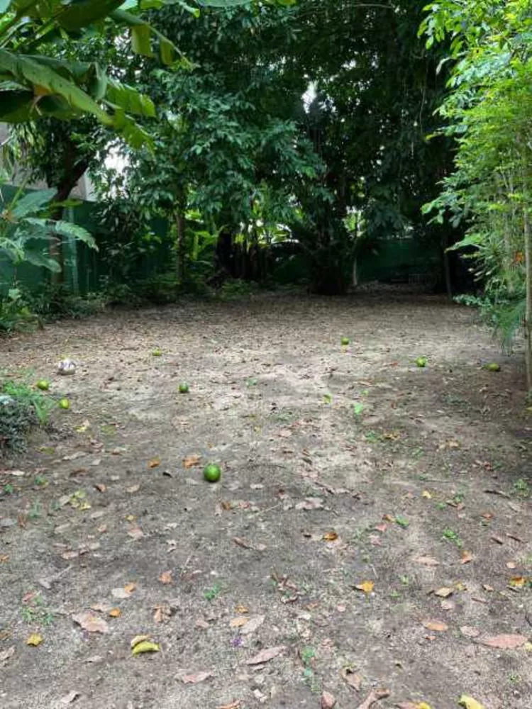 Casa, 7 quartos, 825 m² - Foto 29