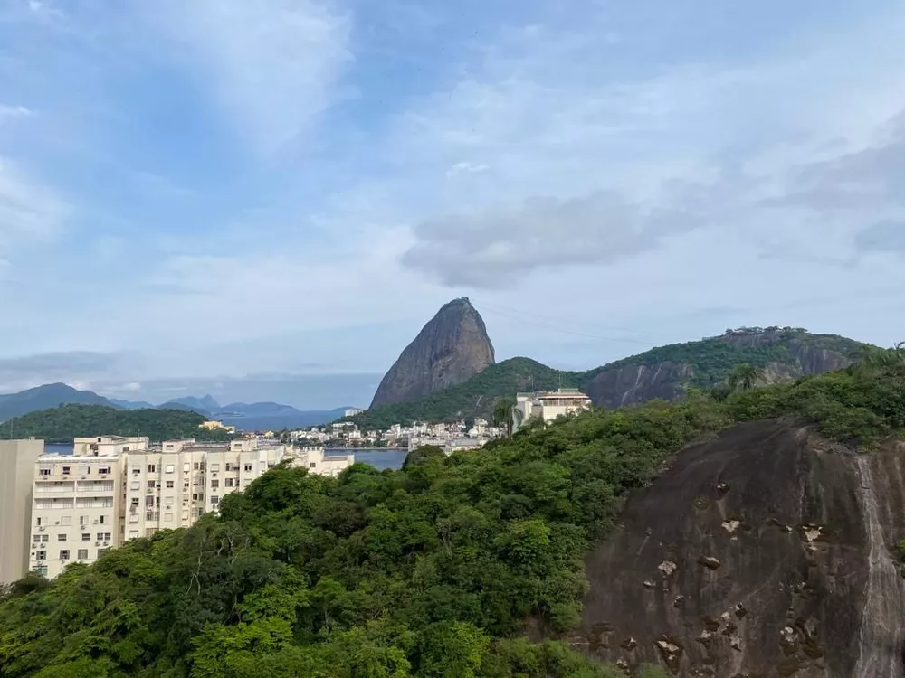 Cobertura, 3 quartos, 311 m² - Foto 6