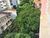 Apartamento, 2 quartos, 72 m² - Foto 2