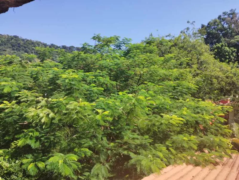 Casa, 5 quartos, 1386 m² - Foto 2