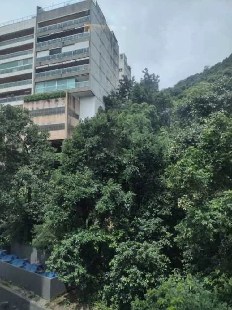 Apartamento, 4 quartos, 235 m² - Foto 12