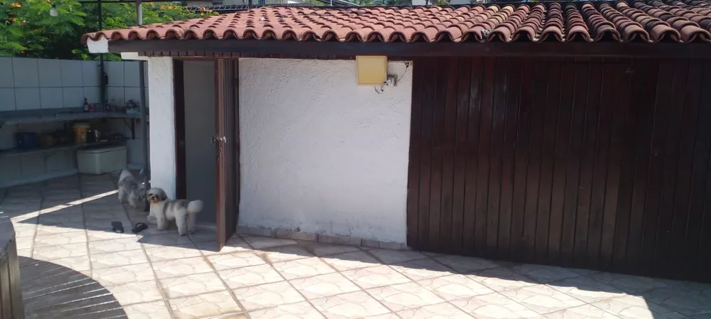 Casa, 4 quartos, 264 m² - Foto 21