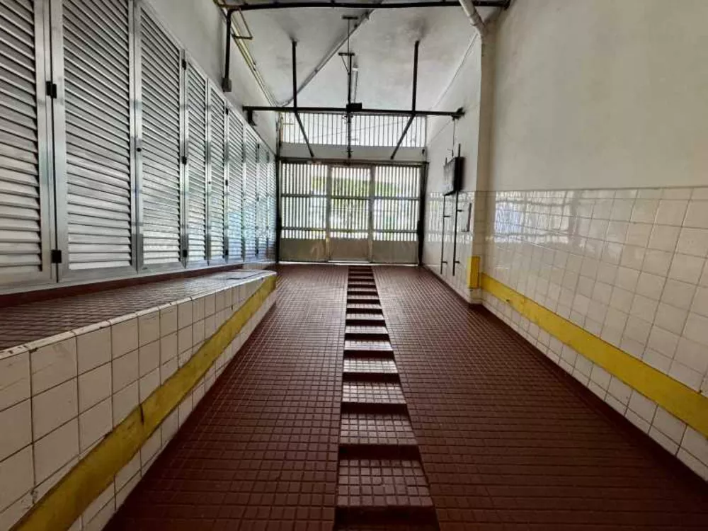Apartamento, 4 quartos, 258 m² - Foto 6