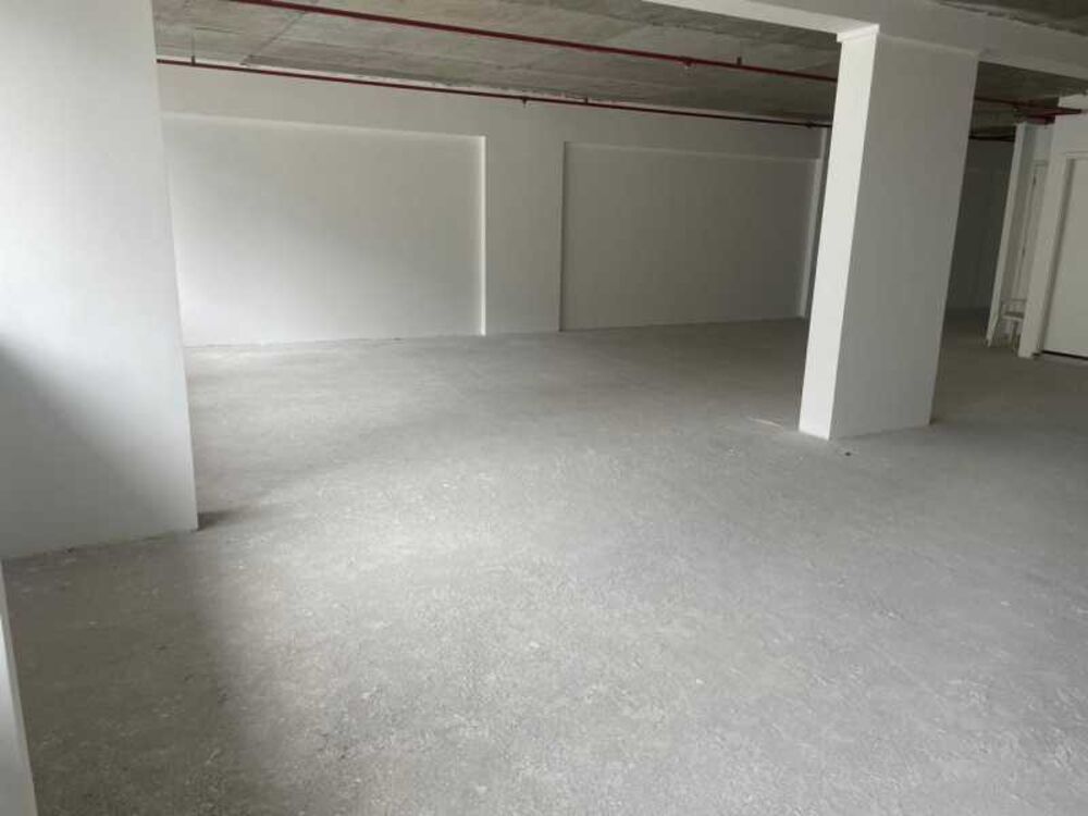 Sala-Conjunto, 290 m² - Foto 9