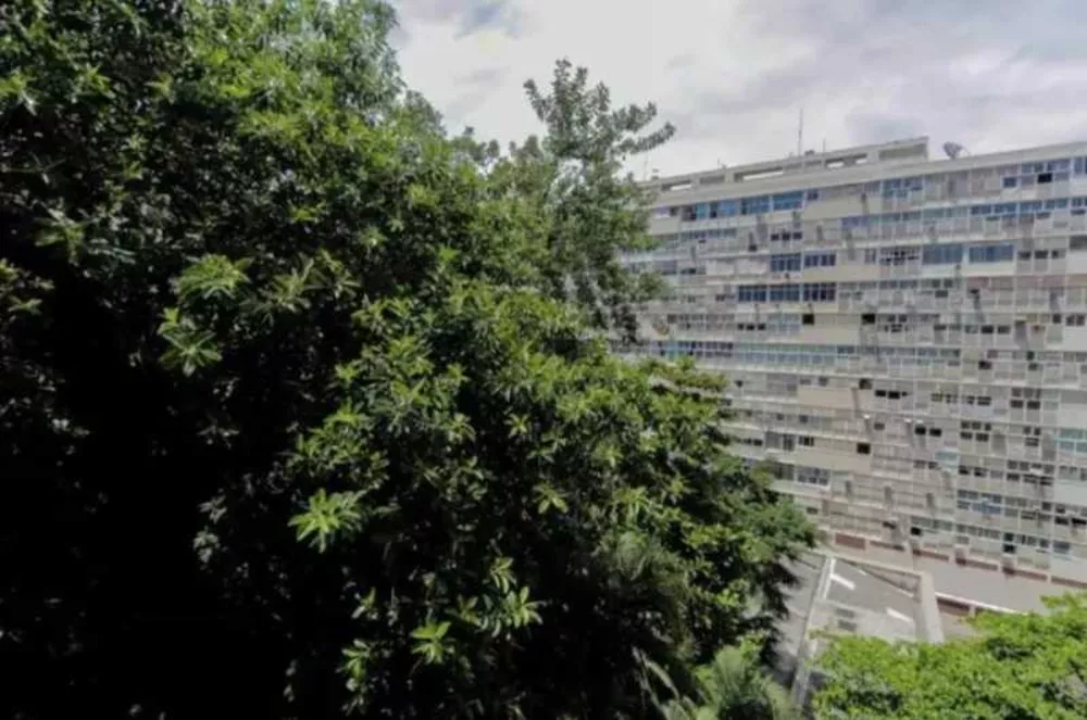 Apartamento, 3 quartos, 81 m² - Foto 19