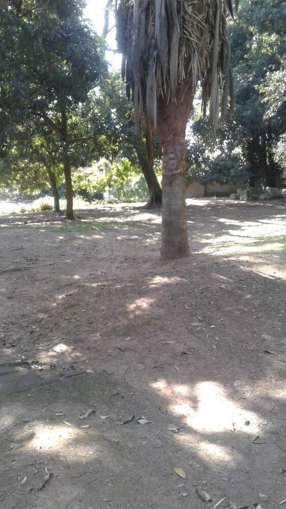 Terreno à venda, 4500 - Foto 6