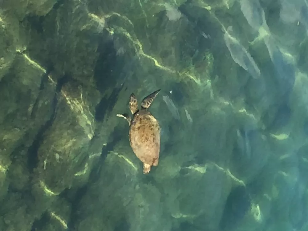 Terreno, 8 hectares - Foto 26